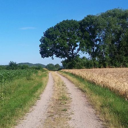 Landgasthof Zur Untermuehle Datterode Eksteriør billede