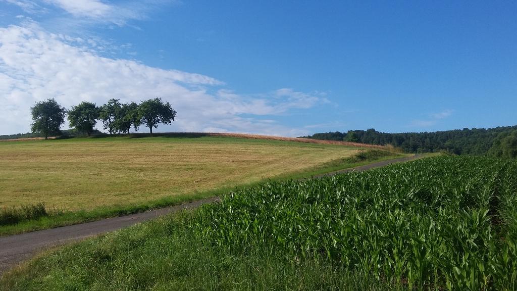 Landgasthof Zur Untermuehle Datterode Eksteriør billede